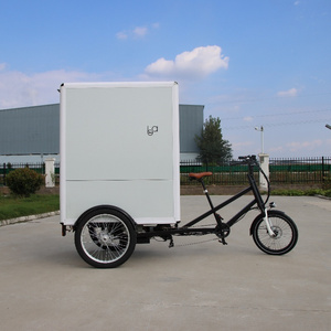 Electric Enclosed Big Box Delivery Cargo Trike, Motorized Cargo Tricycle