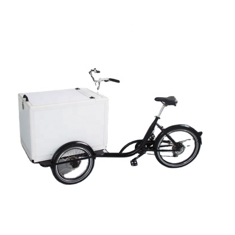 fat tire ebike electric bicycle chopper electric bike 3 wheel sidecar hidden battery city cycle