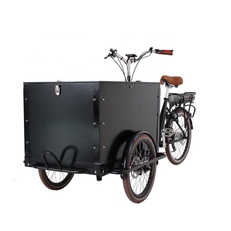 High Quality Classic Three Wheels Bikes Enclosed Electric Tricycle For Sale