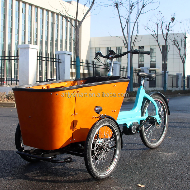 48V 500W New Design with a New Look Electric Cargo Bike 3 Wheel Electric Cargo Bike