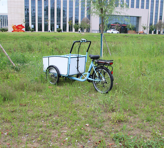 Passenger Bicycle Cargo Bike Trailer for Kids Children Baby Dog Pet with box