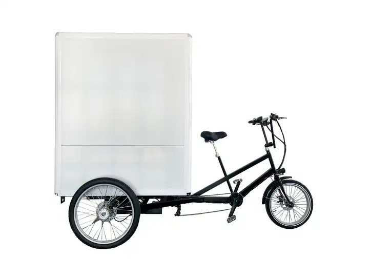 Electric advertising tricycle Large Carrying Commercial Cargo Grocery Delivery Bike 3 wheel electric heavy duty cargo bike