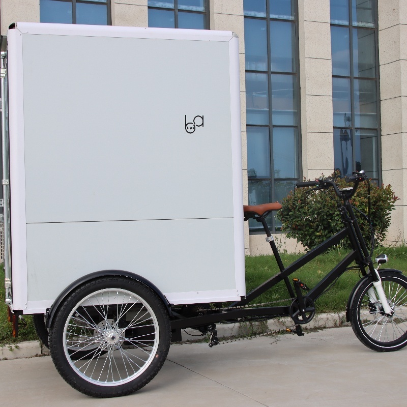 Electric Enclosed Big Box Delivery Cargo Trike, Motorized Cargo Tricycle