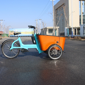 48V 500W New Design with a New Look Electric Cargo Bike 3 Wheel Electric Cargo Bike