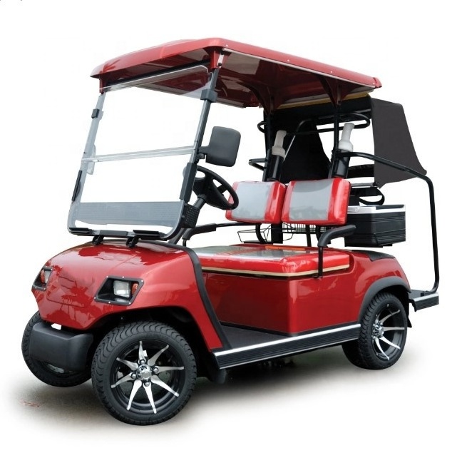 Cheap Price 2 Seats Golf Cart Golf Shuttle Golf Buggy