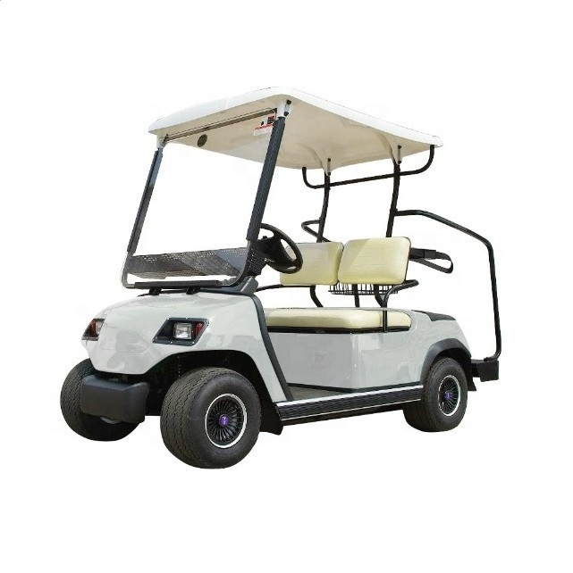 Cheap Price 2 Seats Golf Cart Golf Shuttle Golf Buggy