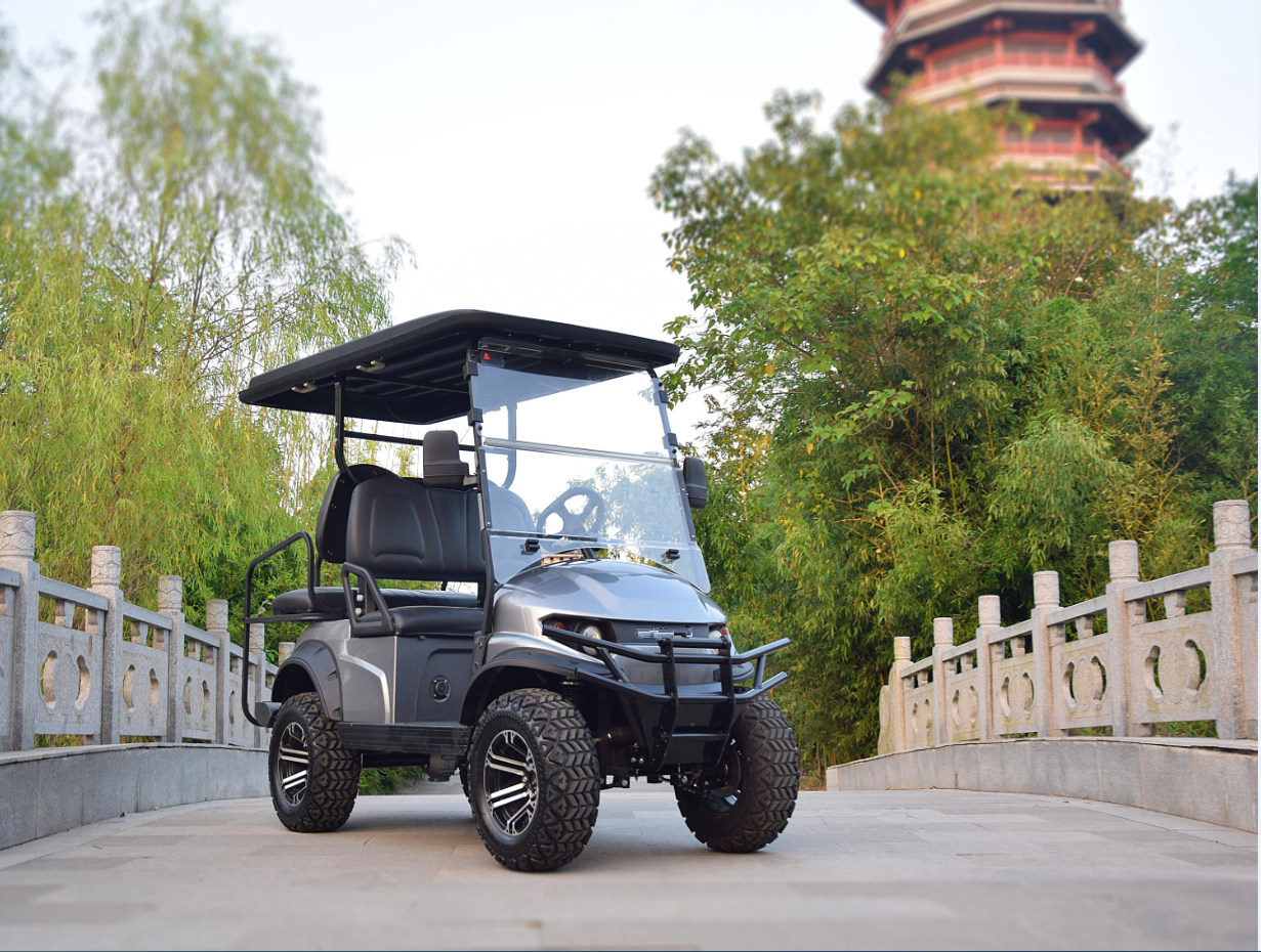 AHLT 4 seaters 6 seater electric golf cart, utility buggy food golf carts with curtis controller