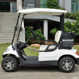 Electric Golf Cart A6 2 Seats 4 Passengers Golf Buggy