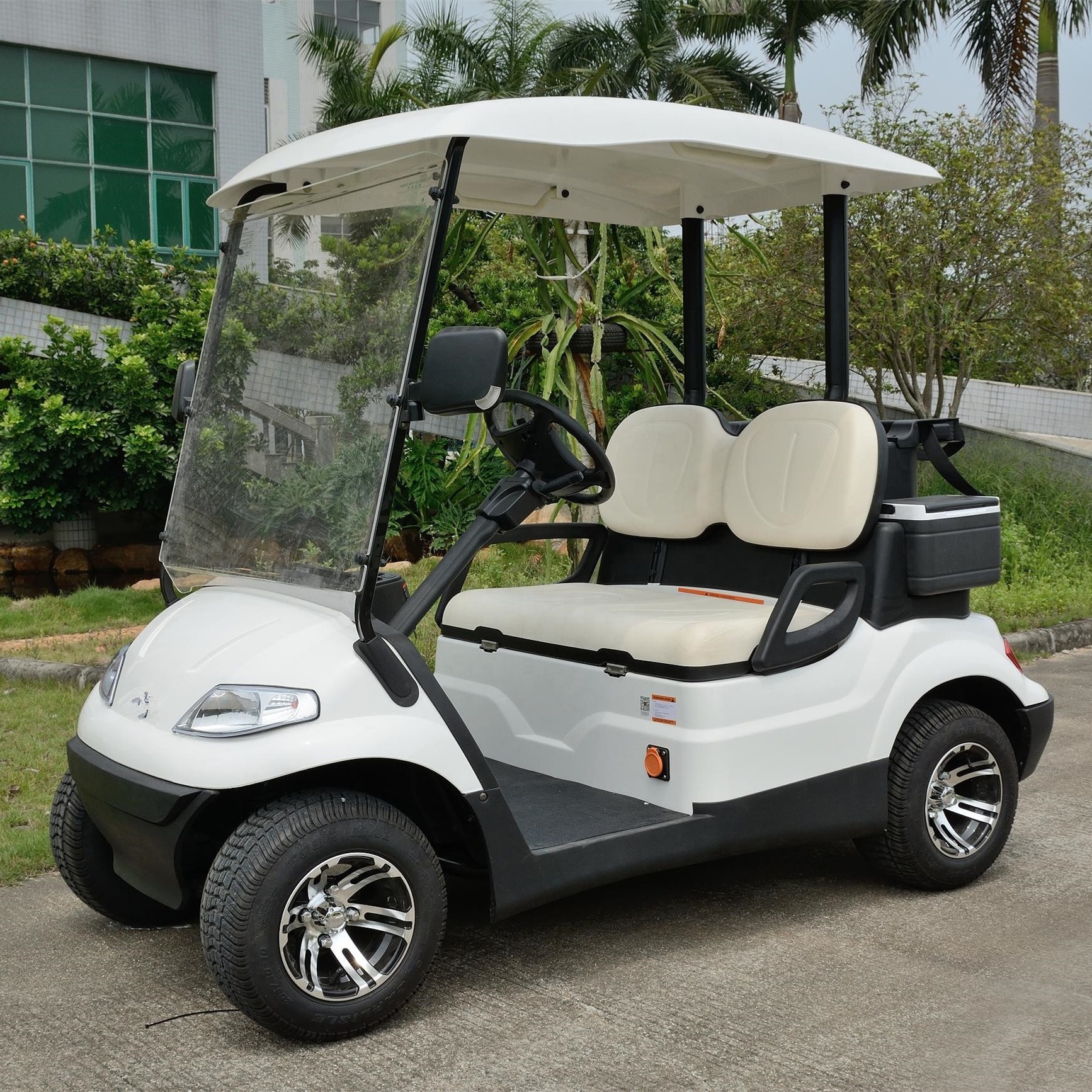 Electric Golf Cart A6 2 Seats 4 Passengers Golf Buggy