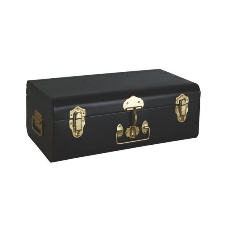 Top Selling Metal Trunk Box Classic Stylish Handmade Designer Storage Container Rectangular Shape Handmade Metal Trunk Box