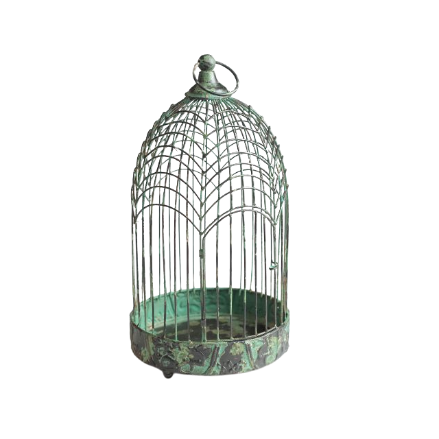 New Style Shiny Polished Iron Wire Metal Large Birds Cage With Green Base For Home Garden Decoration Different Style Bird Cage