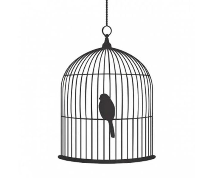 New Style Shiny Polished Iron Wire Metal Large Birds Cage With Green Base For Home Garden Decoration Different Style Bird Cage