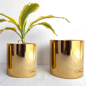 Shiny Golden Colored Design Solid Metal Planters & Pots Best Indoor Decor Painted Finishing Designs Green Plant Planter