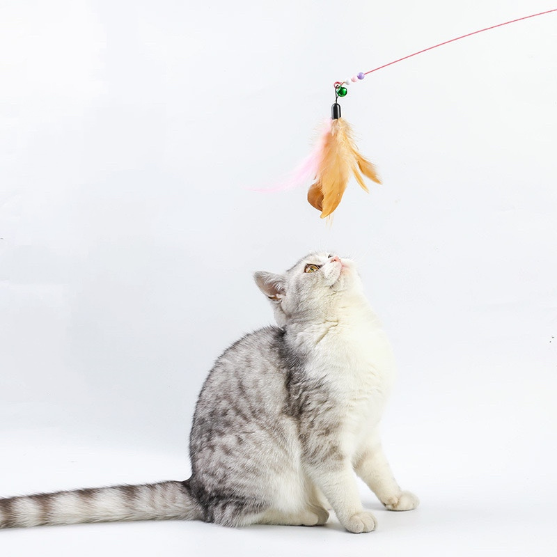 Interactive feather toy Multicolor Cat Teaser Stick with bell Pet Tail Shape Wire collar feather cat stick toy