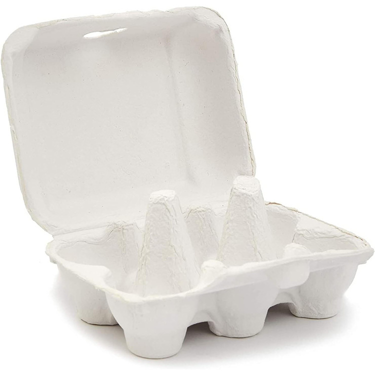 Customized Environment-Friendly Egg Tray Carton with Cover Pulp Moulding 12 20 Eggs Carton/Tray/Box