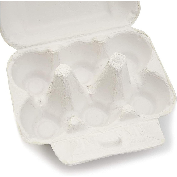 Customized Environment-Friendly Egg Tray Carton with Cover Pulp Moulding 12 20 Eggs Carton/Tray/Box