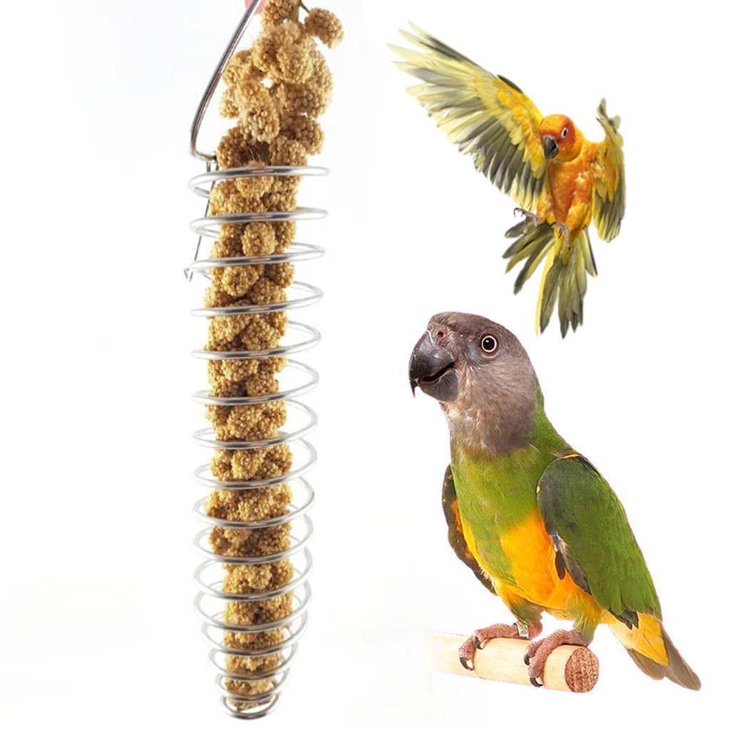 Hanging Stainless Steel Skewer Bird Vegetable Fruit Food Holder Parrot Feeder for Bird Treat