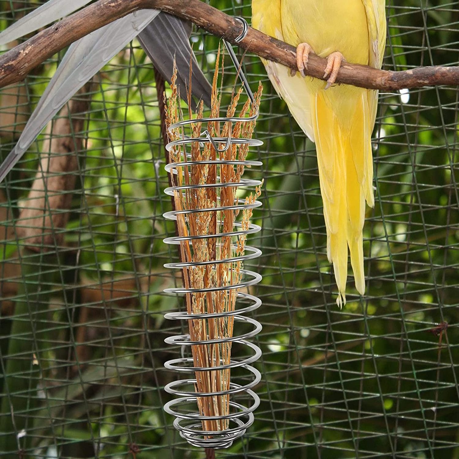 Hanging Stainless Steel Skewer Bird Vegetable Fruit Food Holder Parrot Feeder for Bird Treat