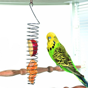 Hanging Stainless Steel Skewer Bird Vegetable Fruit Food Holder Parrot Feeder for Bird Treat