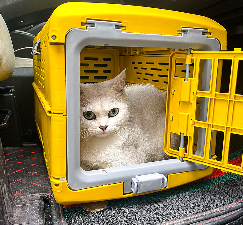 2023 Hot Sell Outdoor Plastic Collapsible Pet Carrier Airline Approved Travel Cat Dog Carriers for Small Dogs Cats