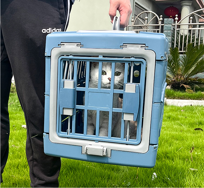 2023 Hot Sell Outdoor Plastic Collapsible Pet Carrier Airline Approved Travel Cat Dog Carriers for Small Dogs Cats