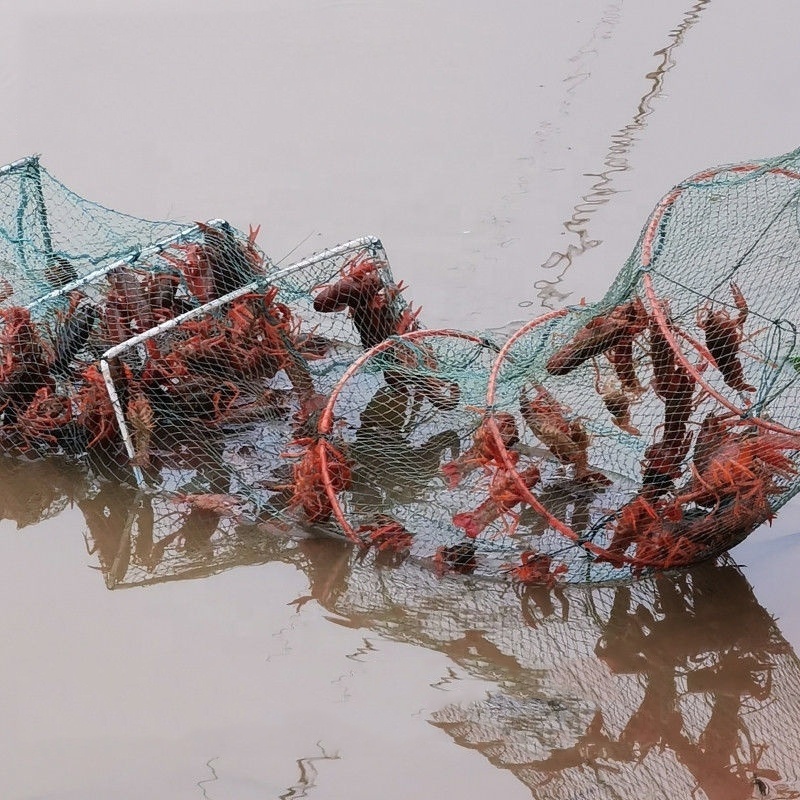 PE knoted multifilament Aquaculture Trap Fishing Trap Nets Crab Cage  Lobster Shrimp Trap