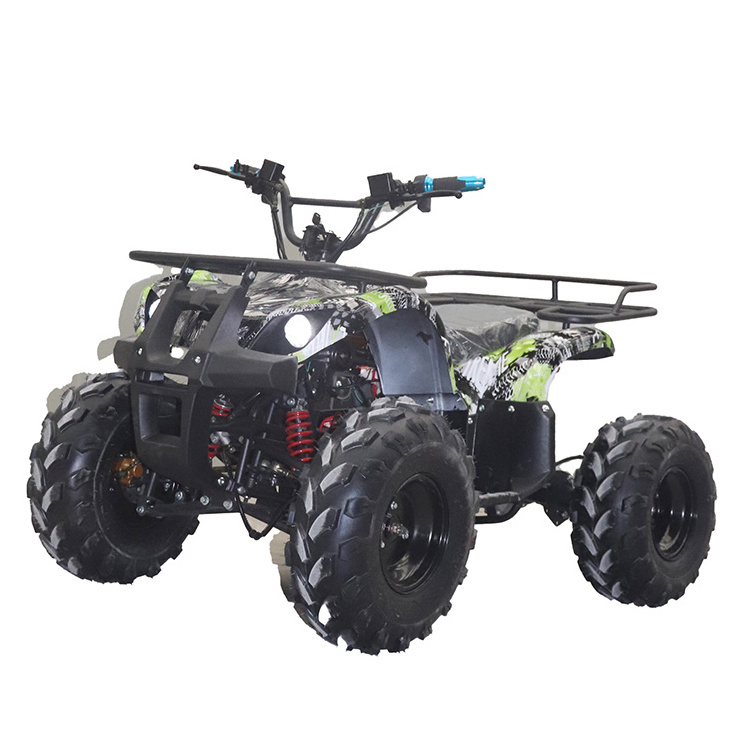 2024 New 110cc  Cheap Gasoline Racing Go Karts 4X4 Off Road Beach Electric Start Dune Buggy for Adults