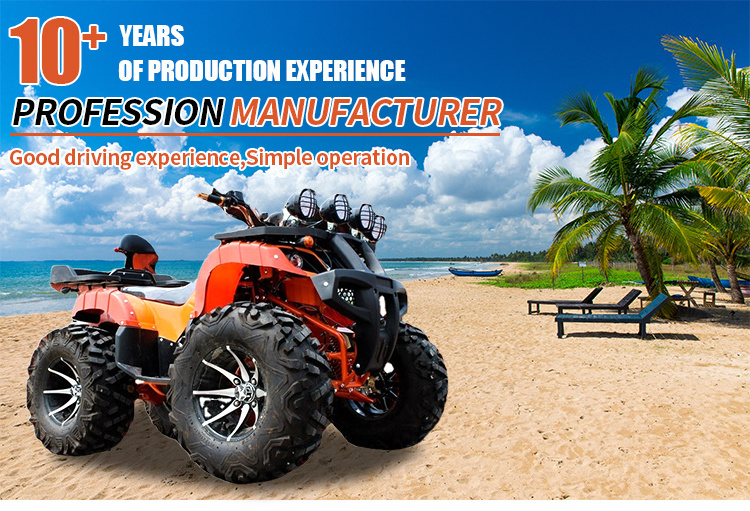 2024 New 110cc  Cheap Gasoline Racing Go Karts 4X4 Off Road Beach Electric Start Dune Buggy for Adults