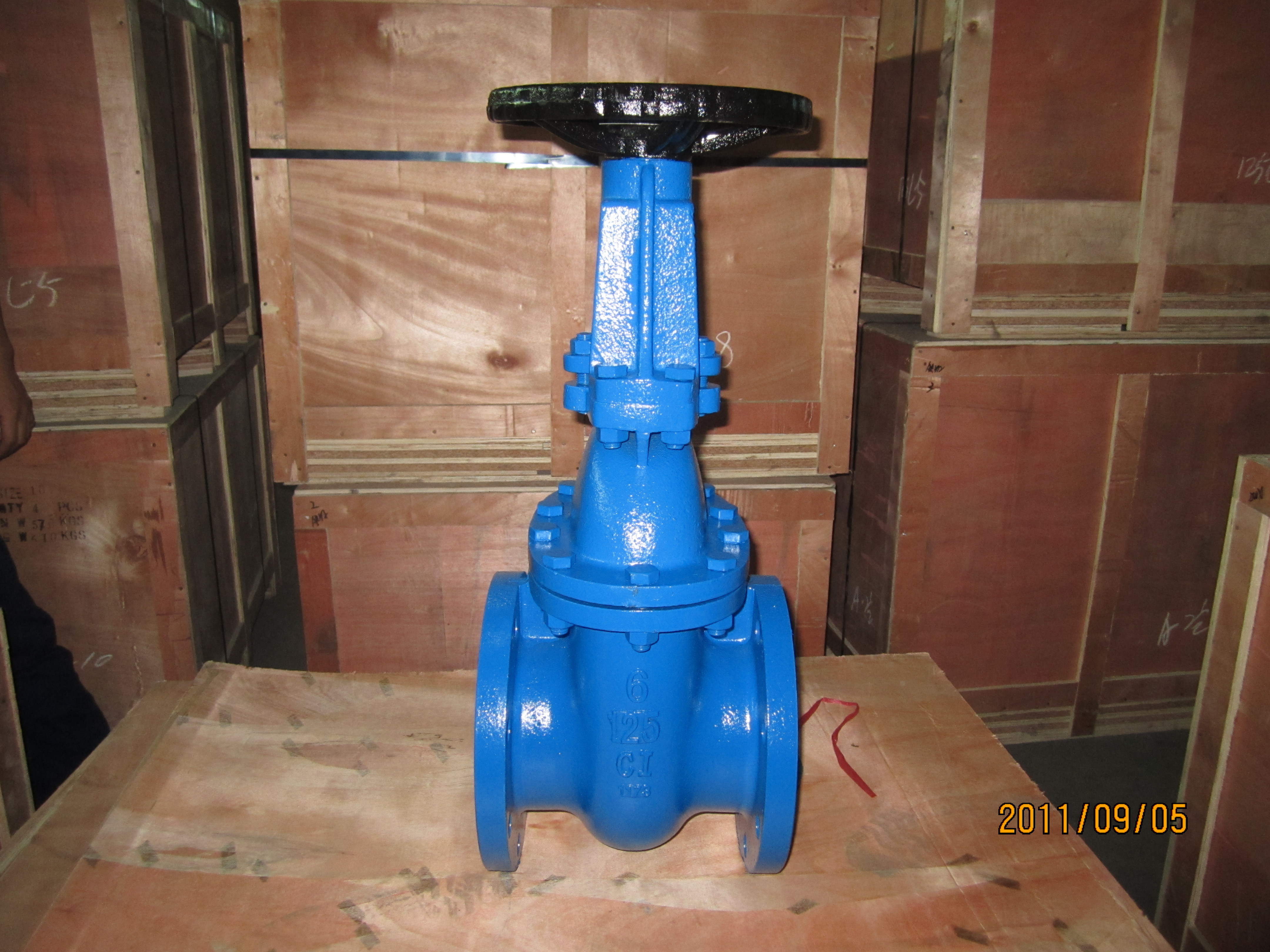 Awwa C509 Flanged Type Metal Seated Gate Valve with Rising Stem 125lb / 150lb