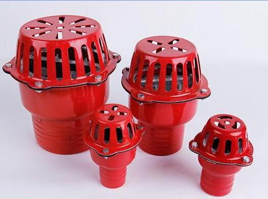 hot sell Garden Hose Irrigation Water Suction Foot Valve/ iron red foot valve