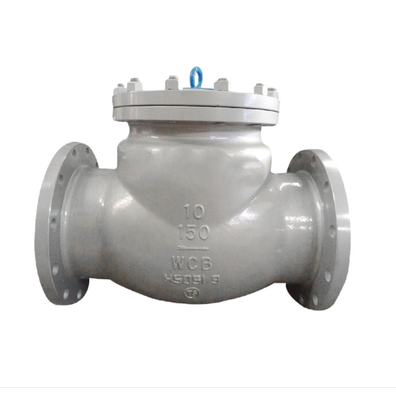 API 6D Industrial Flange Swing Check Valve