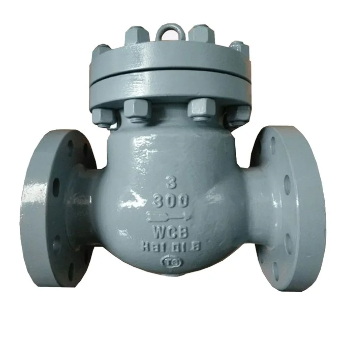 API 6D Industrial Flange Swing Check Valve