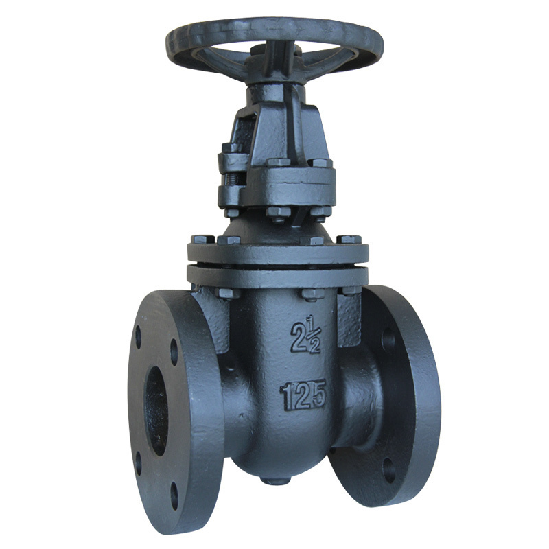 Awwa C509 Flanged Type Metal Seated Gate Valve with Rising Stem 125lb / 150lb