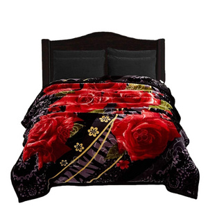 Korean Style Heavy Blanket 100% Polyester Plush Soft Warm 2 Ply Printed Raschel Bed Blanket