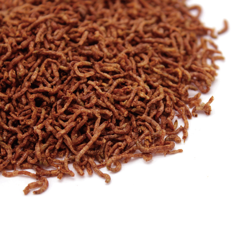 red worm food aquarium food for aquarium fisch frozen bloodworms