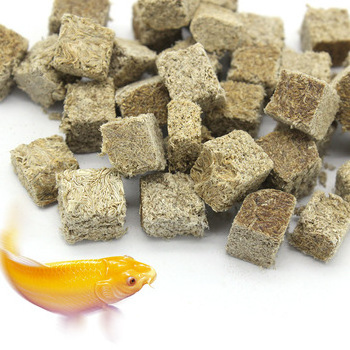 Freeze Dried Tubifex Worm Cubes Freeze Dried Food Aquarium Fish Food