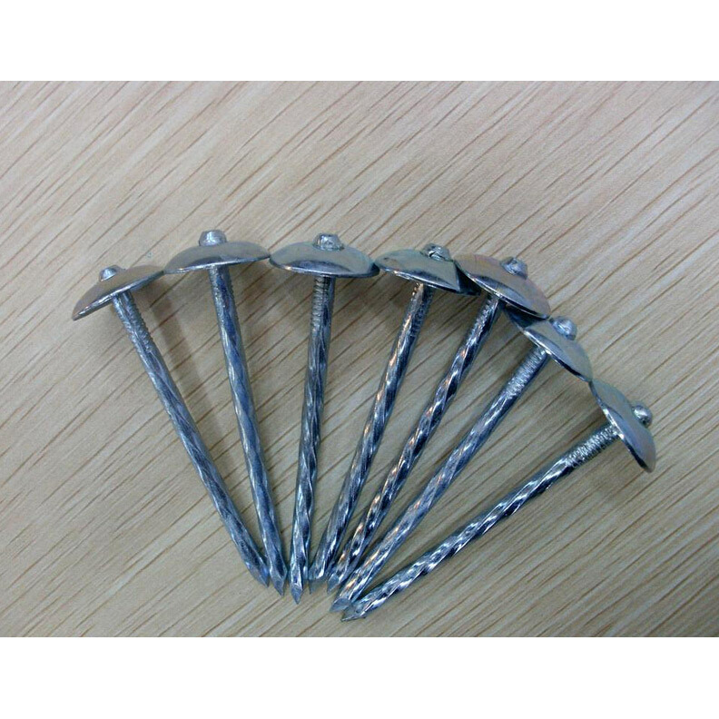 6mm Diameter Umbrella Roofing Nails with Flat and Checkered Head for Wood Working / Clavos