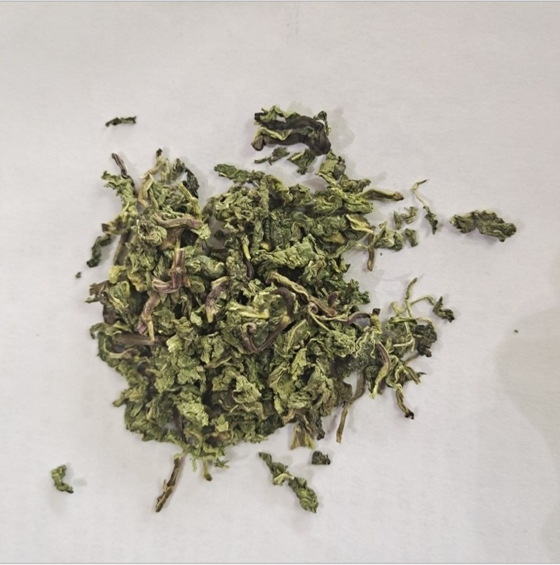 Hot selling Dried mint Mint leaf granule/peppermint granule tea