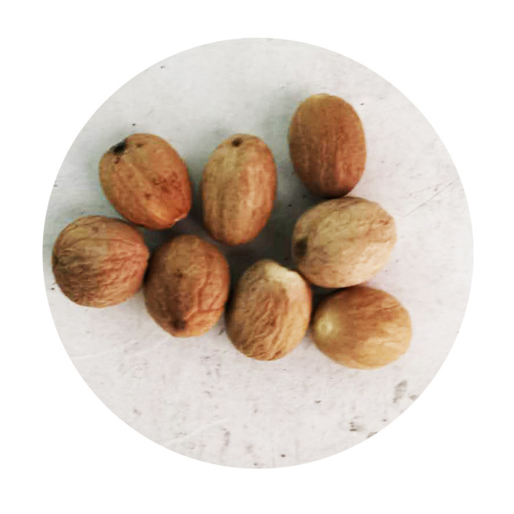 High Quality Natural Cardamom Dried Nutmeg Nutmeg Prices