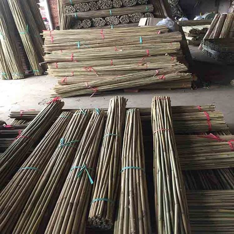 High Quality Bamboo Material Stakes Bamboo Poles Moso Treated Artificial Raw Bamboo Poles