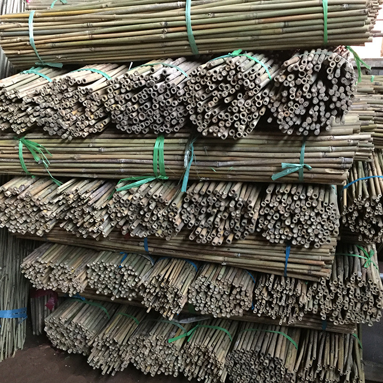 Factory custom bamboo stake bamboo poles cheap with plastic bag