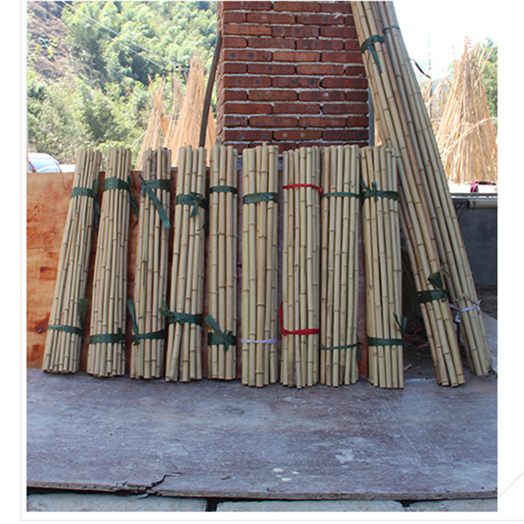 hot sale plastic bag packing 25 pcs natural moso bamboo pole