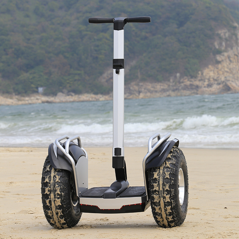 Factory Wholesale OEM 20Km/h Dual Motor 3000W Off Road 20 inch Fat Tire Two Wheel Self Balancing Electric Mobility Scooter