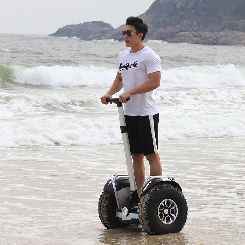 Factory Wholesale OEM 20Km/h Dual Motor 3000W Off Road 20 inch Fat Tire Two Wheel Self Balancing Electric Mobility Scooter