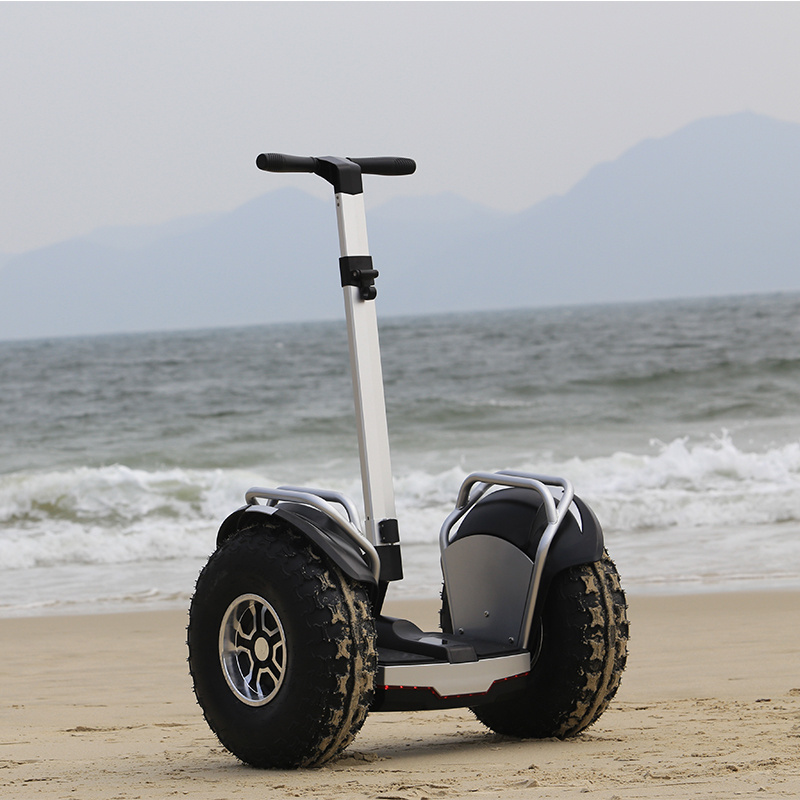 Factory Wholesale OEM 20Km/h Dual Motor 3000W Off Road 20 inch Fat Tire Two Wheel Self Balancing Electric Mobility Scooter