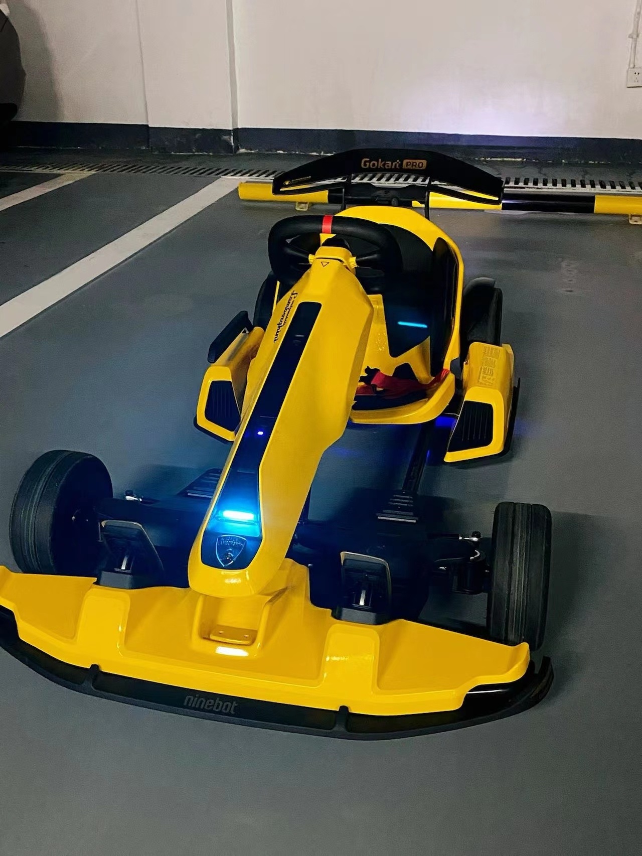 V High speed Kids Racing Go Karting Adult Electric Racing Go Kart for Sale Ninebot Go Kart Lamborghini Edition