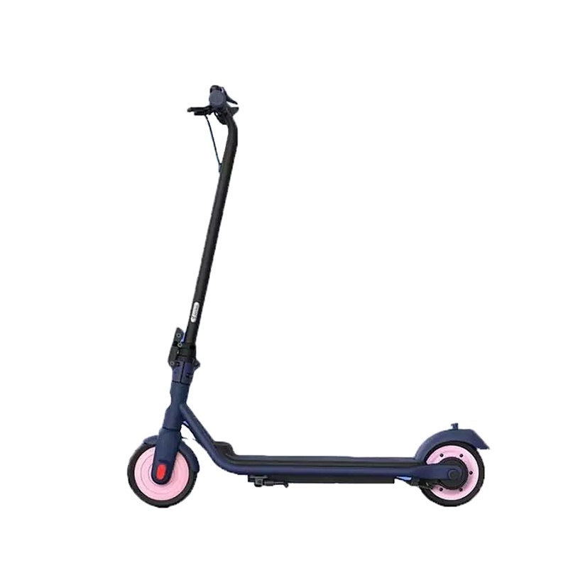 L Great quality Segway Ninebot C15 Pink Young style two wheels adult  foldable electric scooter for lady