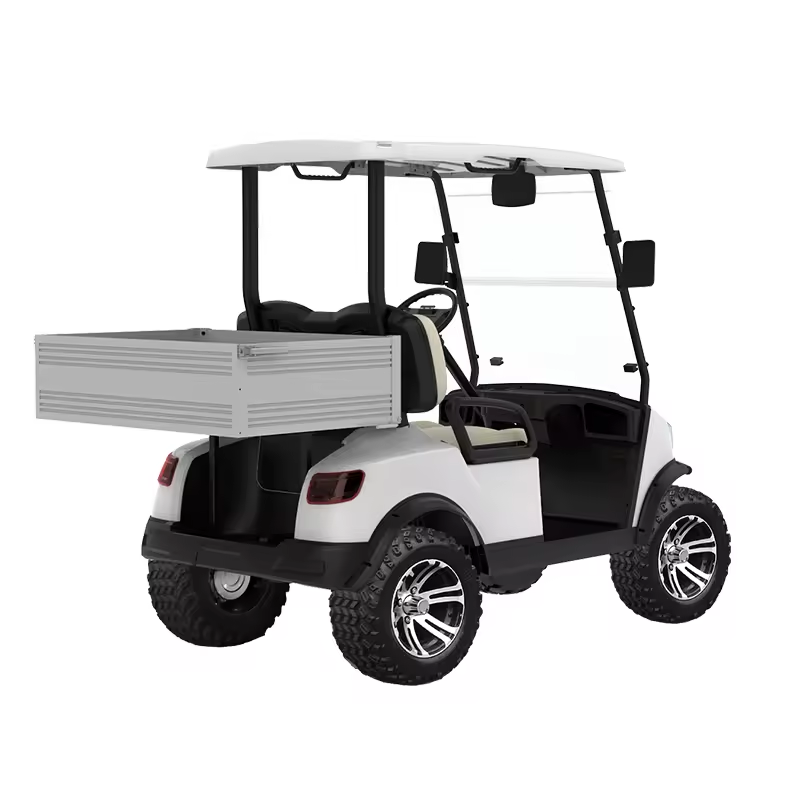 Cheap Luxury Chinese Design Lithium Battery Lifted Golf Cart 2 Seater Golf Cart Lift Electric Lithium Battery