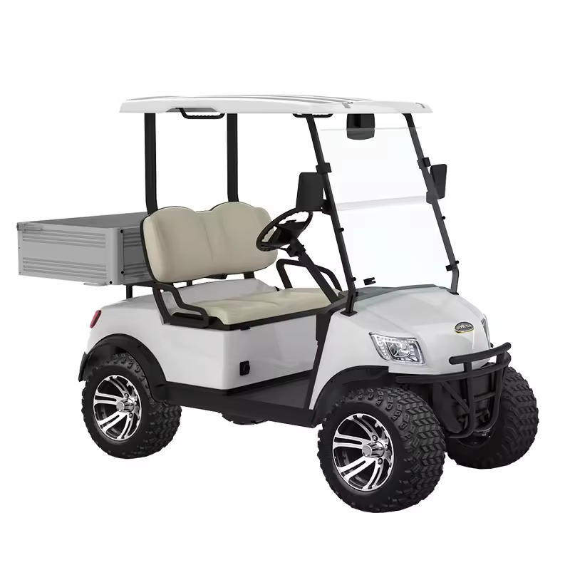 Cheap Luxury Chinese Design Lithium Battery Lifted Golf Cart 2 Seater Golf Cart Lift Electric Lithium Battery