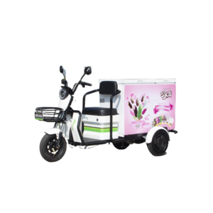 Chinese Favorable Factory Price Cargo Tricycle Freezer Electric Three Wheel Food Truck Refrigerated